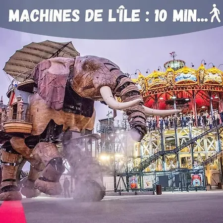 Machines De L'ile - Fibre - Netflix - T2 La Tour Nantes