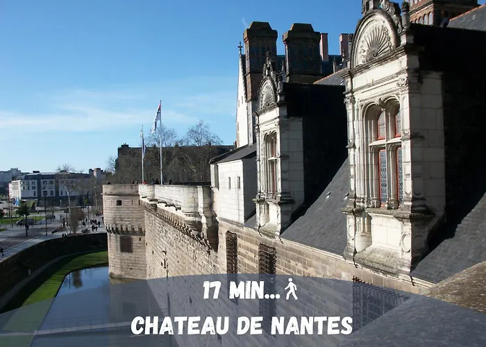 Machines De L'ile - Fibre - Netflix - T2 La Tour *