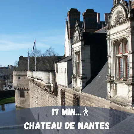 Machines De L'ile - Fibre - Netflix - T2 La Tour *